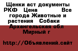 Щенки аст документы РКФ › Цена ­ 15 000 - Все города Животные и растения » Собаки   . Архангельская обл.,Мирный г.